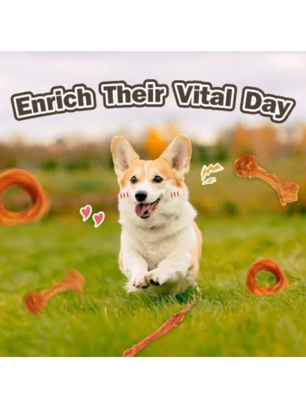 Natural Turkey Tendon Dog Chews, USA-Sourced, Small Rings, 20 Count (2 Pack)